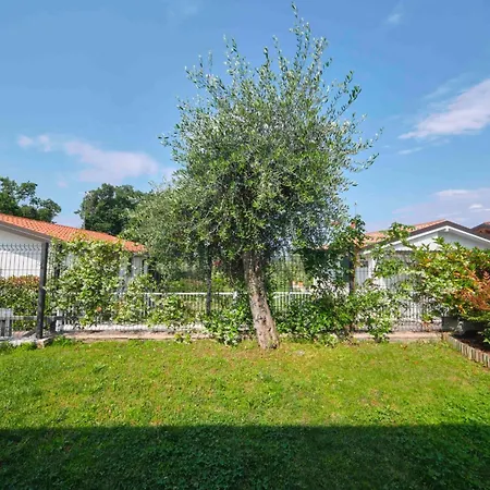 Schoenes Batik By Interhome *